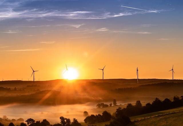 Wind farm at sunrise
